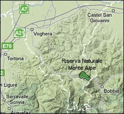 Monte Alpe map.jpg - 57591 Bytes